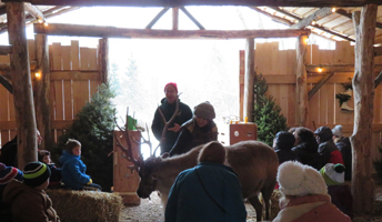 A group of people in a barn looking at a reindeer.