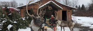 A reindeer chainsaw carving in front of a barn, with a man sitting in a sled, and a real reindeer next to him.