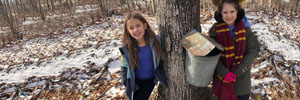 Two children stand next to a maple tree with a sap bucket on it.