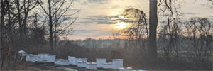 A sunrise over a field with beehives in the foreground.